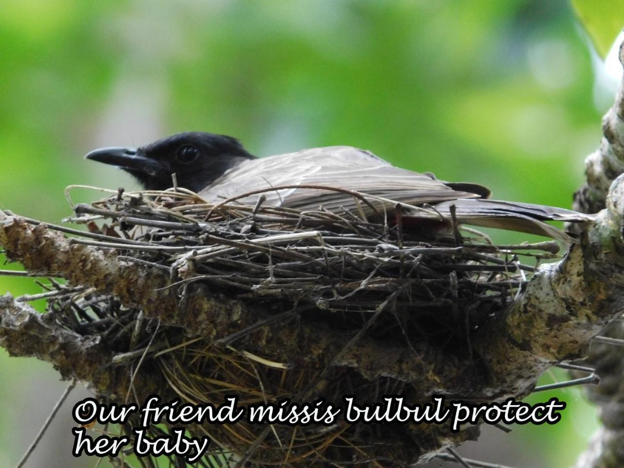 Yala Avian Eye Safari Apartment Buttala Екстериор снимка