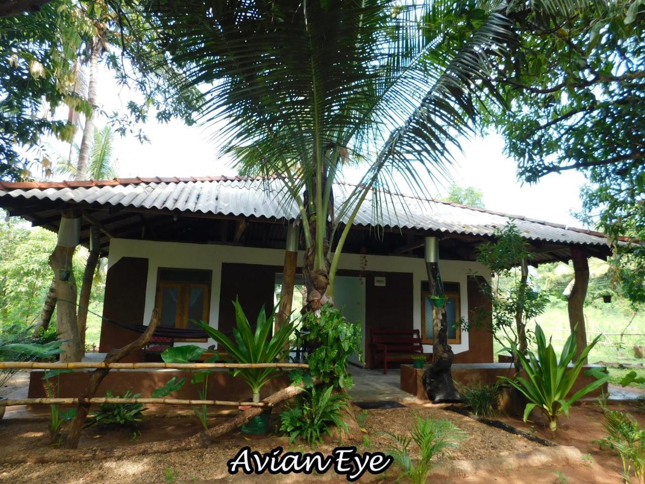 Yala Avian Eye Safari Apartment Buttala Екстериор снимка